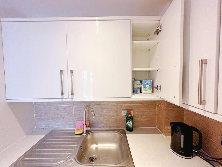 1 Bed Room Flat Near Central Londra Dış mekan fotoğraf