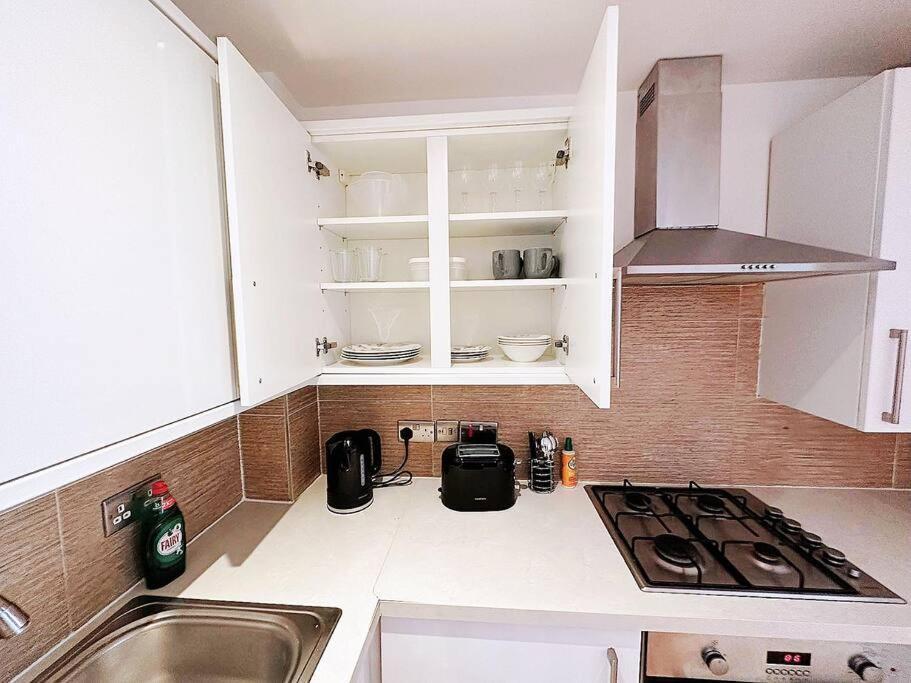 1 Bed Room Flat Near Central Londra Dış mekan fotoğraf